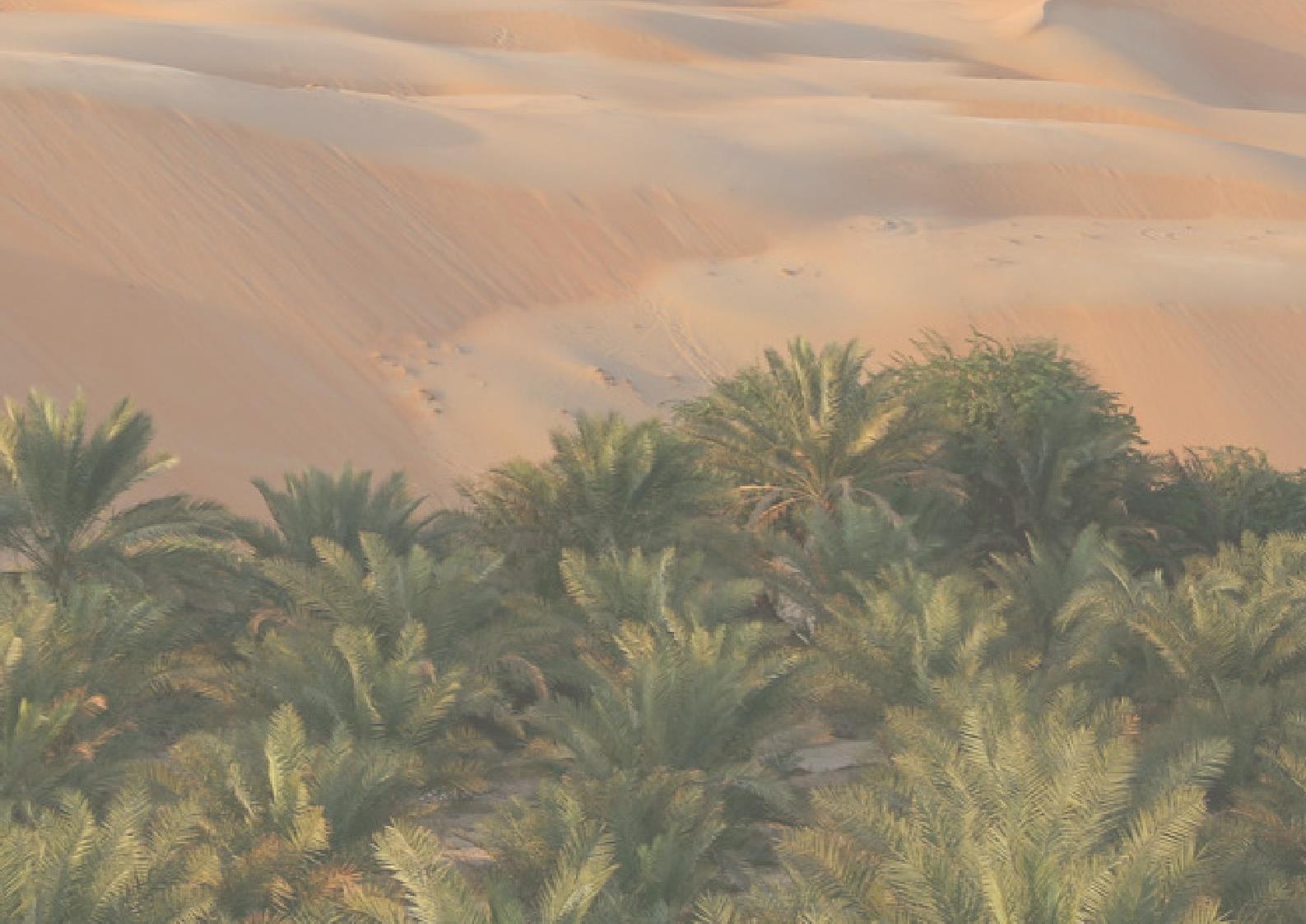 Cultivated vegetation meeting an arid desert landscape